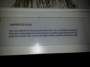 phone pics 2012_2013 401